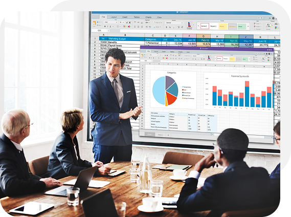 ERP Consulting